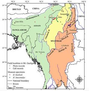 天行長臂猿分布圖