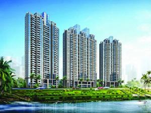 龍寶花園 龍寶花園