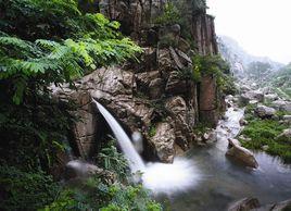 山東蒙山國家森林公園 山東蒙山國家森林公園