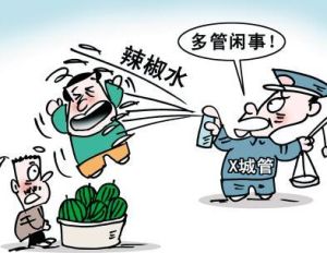 公務化暴力 公務化暴力