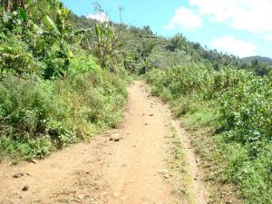 煉地自然村 煉地自然村