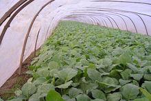 鹽城濟農農膜有限公司