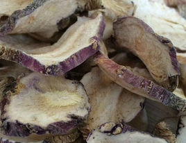 優七瑪咖 優七瑪咖