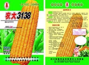 農大3138 農大3138