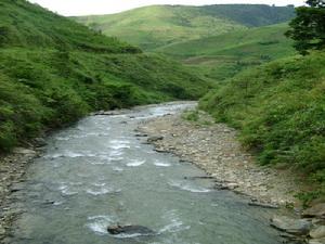 （圖）金水河鎮