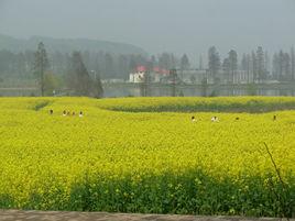 華中農業大學六個一 華中農業大學六個一