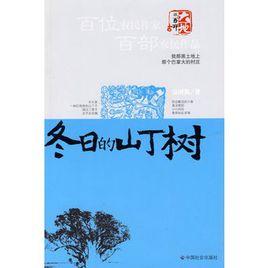 冬日的山丁樹 冬日的山丁樹