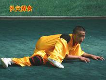 虎拳[中國傳統武術流派之一]