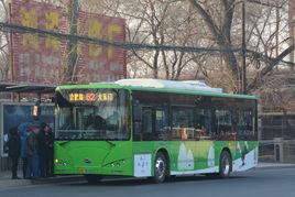 吉林公交62路 吉林公交62路