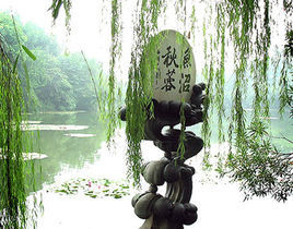 魚沼秋蓉 魚沼秋蓉