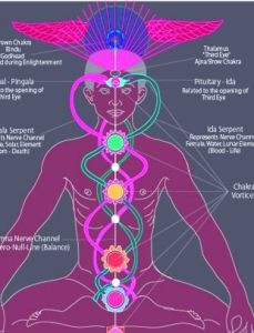 純陽之體 純陽之體