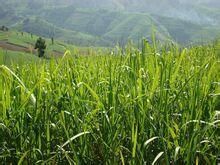白虎山自然村 白虎山自然村