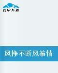 風掙不斷風箏情 風掙不斷風箏情