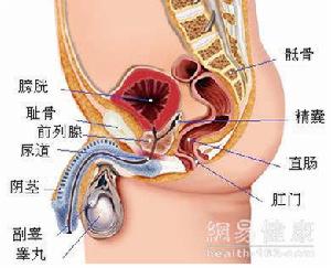 膀胱輸尿管返流