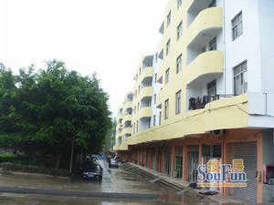 龍嶺花園外景圖