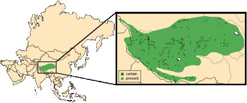 西藏野驢分布圖