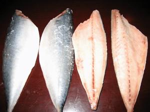 （圖）養殖的紅魚肉