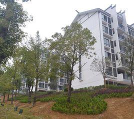 明鑫·澧水灣 明鑫·澧水灣