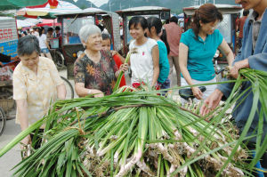 靖西壯族端午藥市的藥材
