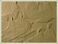 四川大學博物館[中國西南地區建立最早的博物館之一]