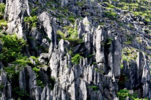 泥函石林景區 泥函石林景區