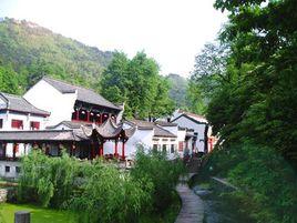 九華鎮[安徽省池州市青陽縣九華鎮]