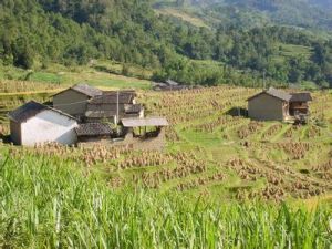 利擺田自然村 利擺田自然村