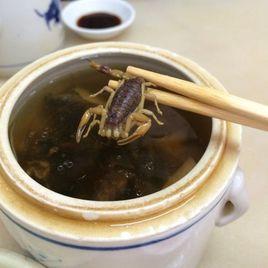 蠍子湯 蠍子湯