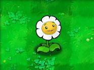 《植物大戰殭屍》[PopCap Games開發的遊戲]