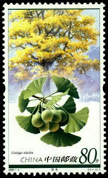 《孑遺植物》特種郵票 《孑遺植物》特種郵票