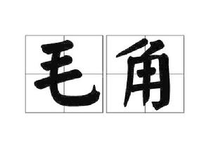 毛角 毛角