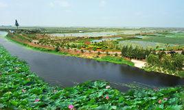 北湖風景區[微山縣北湖風景區]