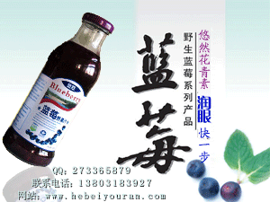 悠然藍莓花青素