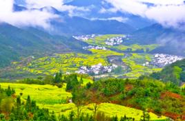 江嶺梯田 江嶺梯田