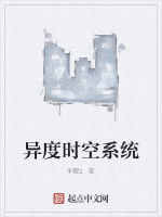 異度時空系統 異度時空系統