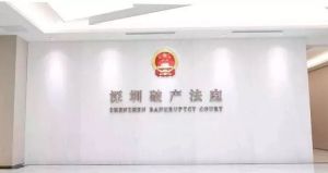 深圳破產法庭 深圳破產法庭