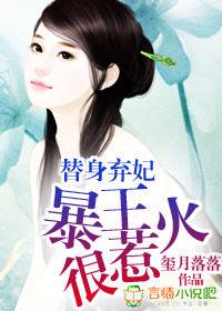 替身棄妃,暴王很惹火 替身棄妃,暴王很惹火