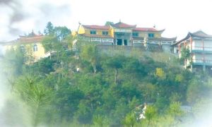 烏雲山茶葉公園