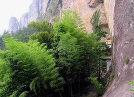 東峰聳翠 東峰聳翠