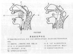 面罩唱法 面罩唱法