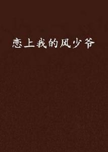 戀上我的風少爺 戀上我的風少爺