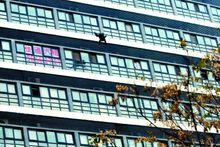 她從樓上往下墜落