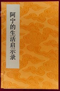 阿寧的生活啟示錄 阿寧的生活啟示錄