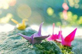 七彩年華 七彩年華