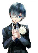 夏爾·凡多姆海恩