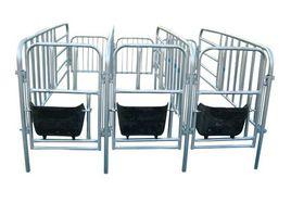 母豬限位欄 母豬限位欄