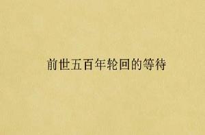前世五百年輪迴的等待 前世五百年輪迴的等待