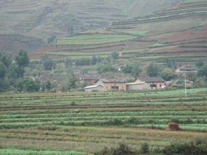 烏龍棚村 烏龍棚村