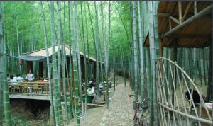 寶岩生態觀光園 寶岩生態觀光園