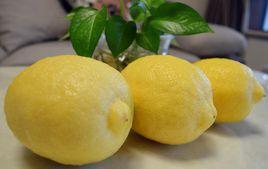 尤力克檸檬 尤力克檸檬